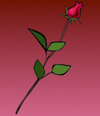 Illustrated image of a rose and stem on a dark red background